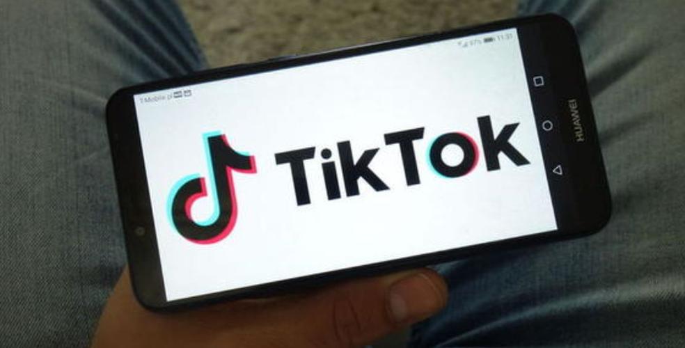 Tiktok Pet Adoption Videos Go Viral And Love Actions Spread 